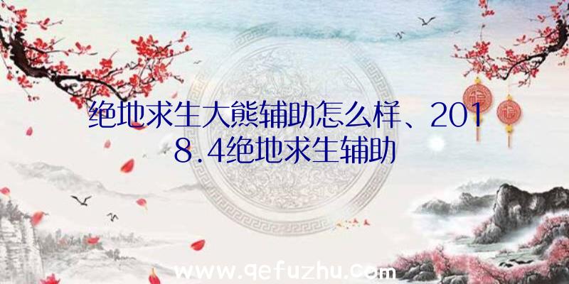 绝地求生大熊辅助怎么样、2018.4绝地求生辅助