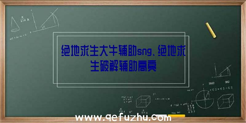 绝地求生大牛辅助sng、绝地求生破解辅助高亮