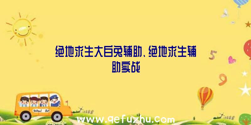 绝地求生大白兔辅助、绝地求生辅助实战