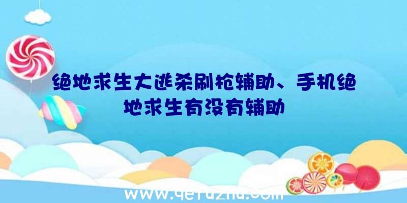 绝地求生大逃杀刷枪辅助、手机绝地求生有没有辅助