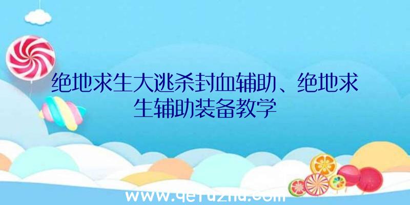 绝地求生大逃杀封血辅助、绝地求生辅助装备教学