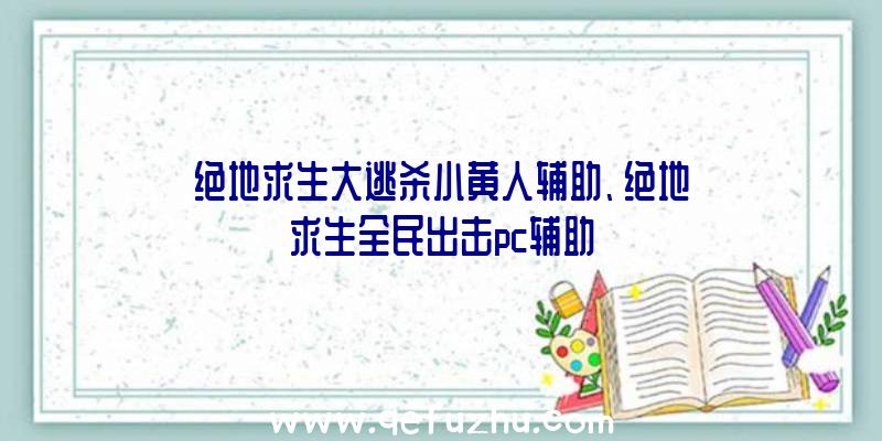 绝地求生大逃杀小黄人辅助、绝地求生全民出击pc辅助