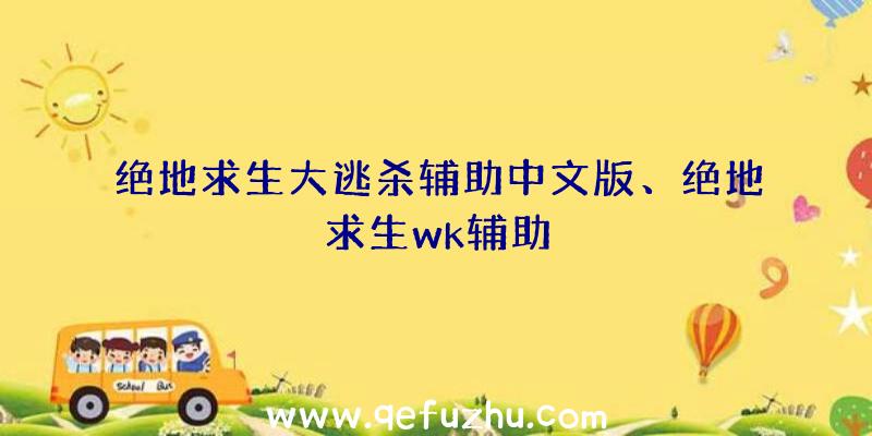 绝地求生大逃杀辅助中文版、绝地求生wk辅助