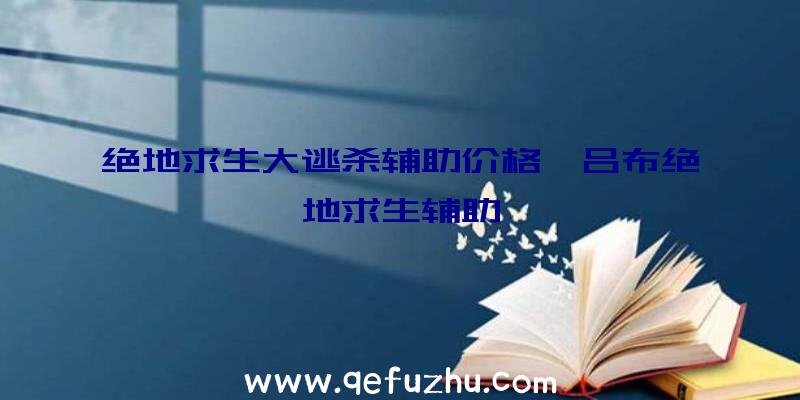 绝地求生大逃杀辅助价格、吕布绝地求生辅助