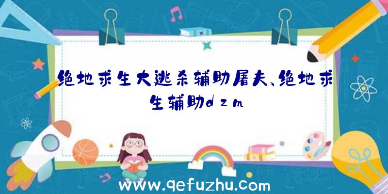 绝地求生大逃杀辅助屠夫、绝地求生辅助dzm