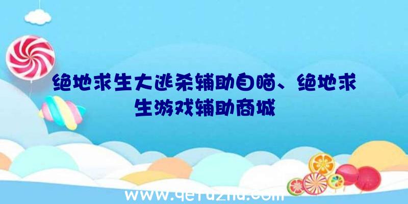 绝地求生大逃杀辅助自瞄、绝地求生游戏辅助商城