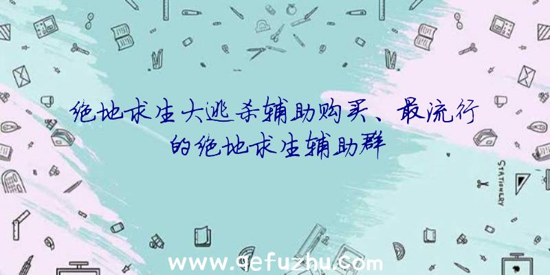 绝地求生大逃杀辅助购买、最流行的绝地求生辅助群