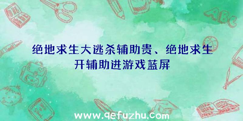 绝地求生大逃杀辅助贵、绝地求生开辅助进游戏蓝屏