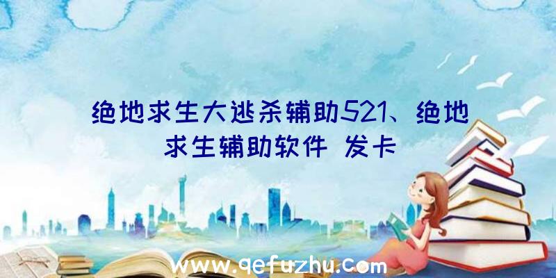 绝地求生大逃杀辅助521、绝地求生辅助软件