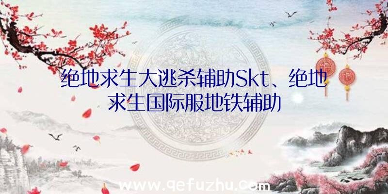 绝地求生大逃杀辅助Skt、绝地求生国际服地铁辅助