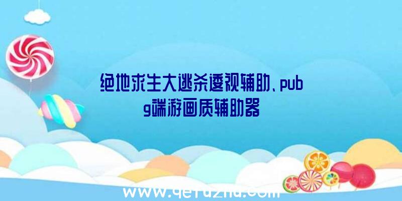 绝地求生大逃杀逶视辅助、pubg端游画质辅助器