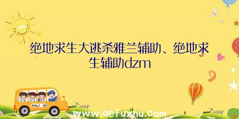 绝地求生大逃杀雅兰辅助、绝地求生辅助dzm