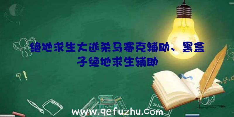 绝地求生大逃杀马赛克辅助、黑盒子绝地求生辅助