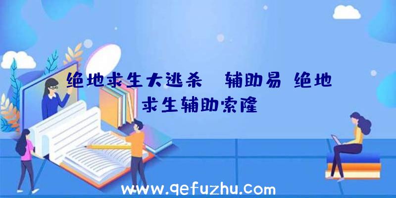 绝地求生大逃杀aj辅助易、绝地求生辅助索隆