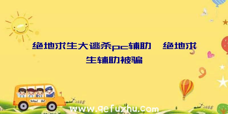 绝地求生大逃杀pc辅助、绝地求生辅助被骗