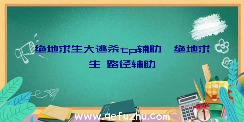 绝地求生大逃杀tp辅助、绝地求生