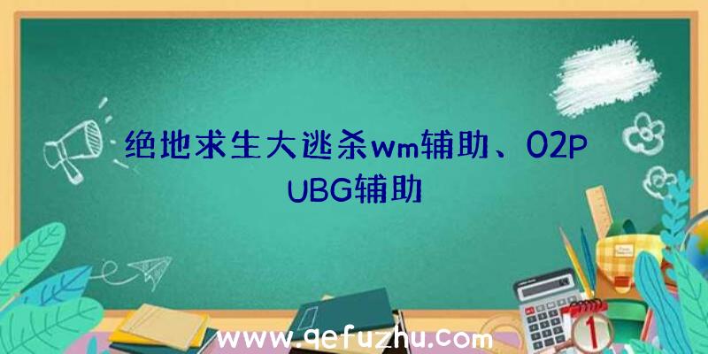 绝地求生大逃杀wm辅助、02PUBG辅助