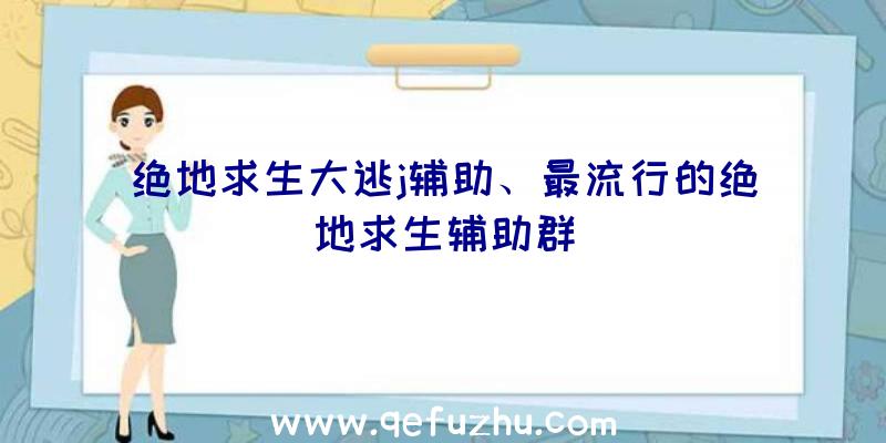 绝地求生大逃j辅助、最流行的绝地求生辅助群