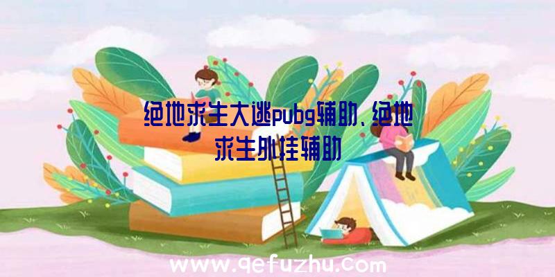 绝地求生大逃pubg辅助、绝地求生外挂辅助