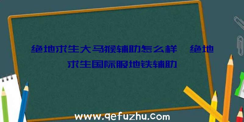 绝地求生大马猴辅助怎么样、绝地求生国际服地铁辅助