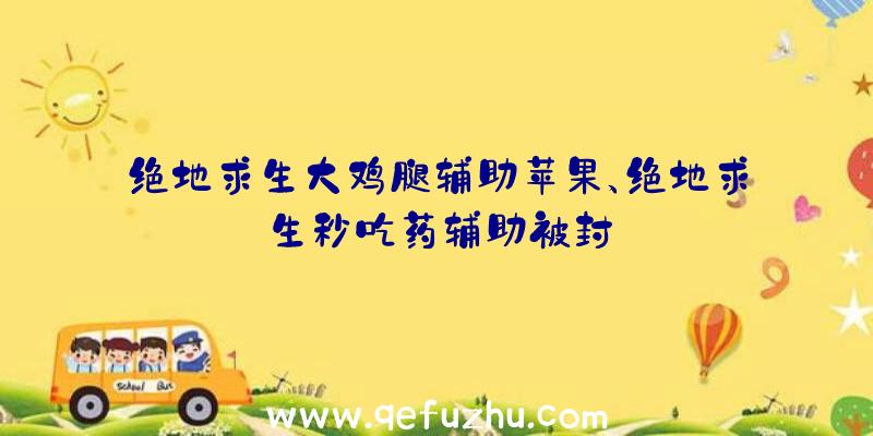 绝地求生大鸡腿辅助苹果、绝地求生秒吃药辅助被封