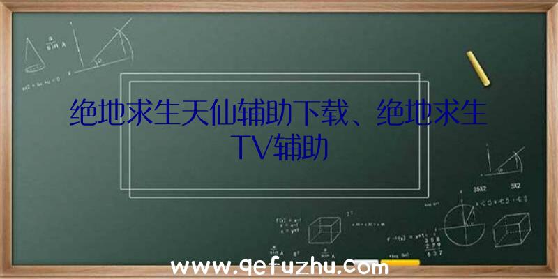 绝地求生天仙辅助下载、绝地求生TV辅助