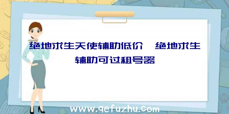 绝地求生天使辅助低价、绝地求生辅助可过租号器