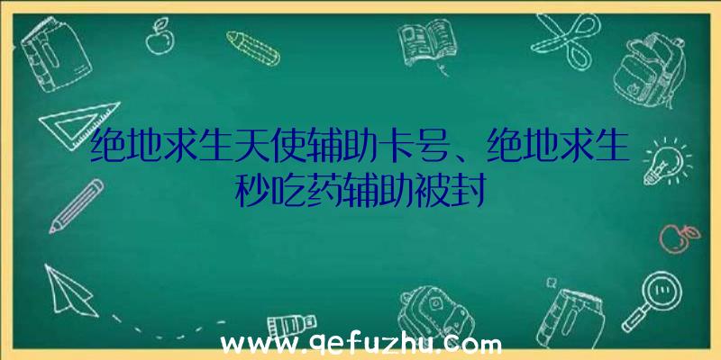 绝地求生天使辅助卡号、绝地求生秒吃药辅助被封