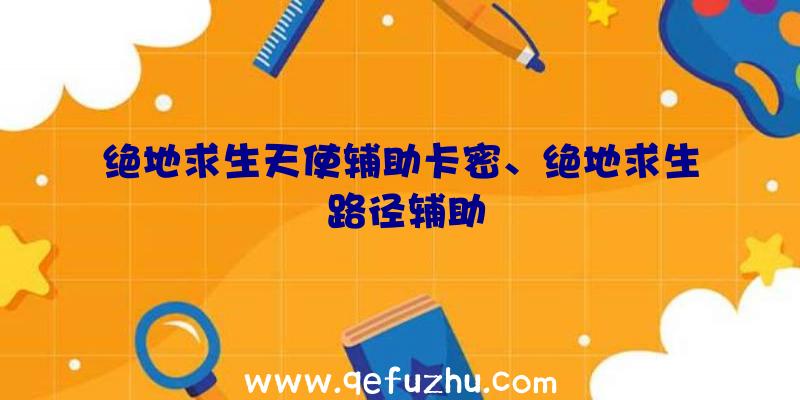 绝地求生天使辅助卡密、绝地求生