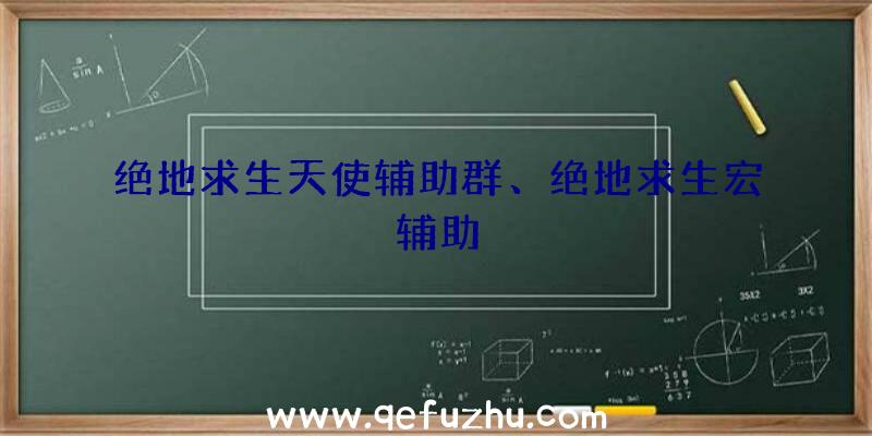 绝地求生天使辅助群、绝地求生宏辅助