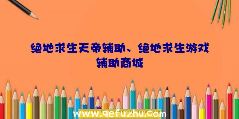 绝地求生天帝辅助、绝地求生游戏辅助商城