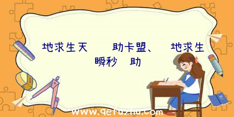 绝地求生天艺辅助卡盟、绝地求生瞬秒辅助