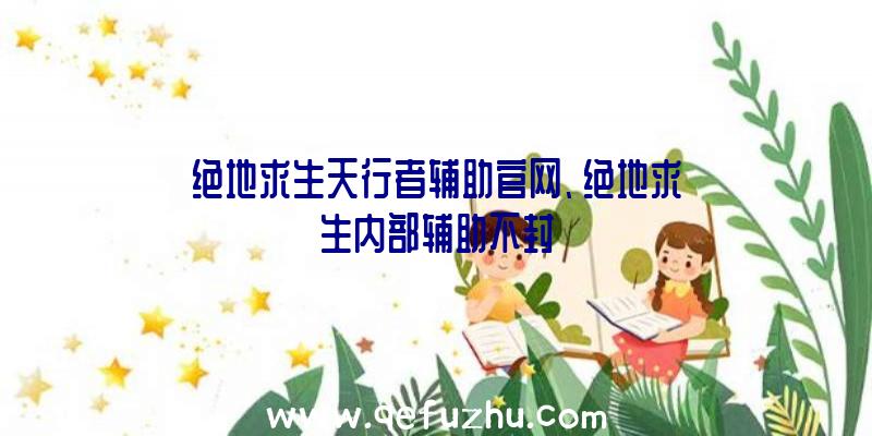 绝地求生天行者辅助官网、绝地求生内部辅助不封