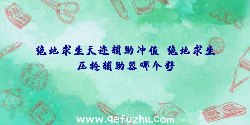 绝地求生天迹辅助冲值、绝地求生压枪辅助器哪个好