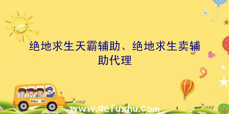 绝地求生天霸辅助、绝地求生卖辅助代理