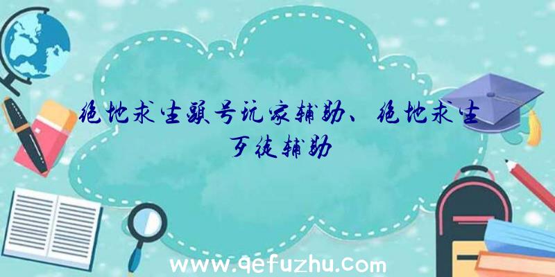 绝地求生头号玩家辅助、绝地求生歹徒辅助