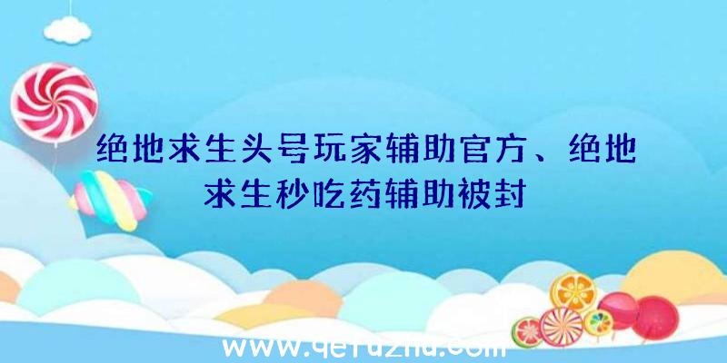 绝地求生头号玩家辅助官方、绝地求生秒吃药辅助被封