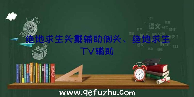 绝地求生头戴辅助侧头、绝地求生TV辅助