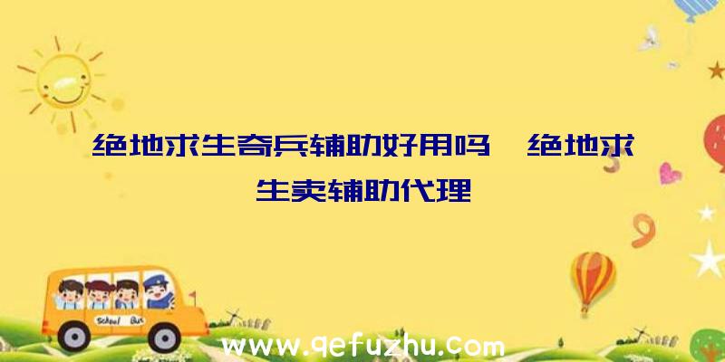 绝地求生奇兵辅助好用吗、绝地求生卖辅助代理