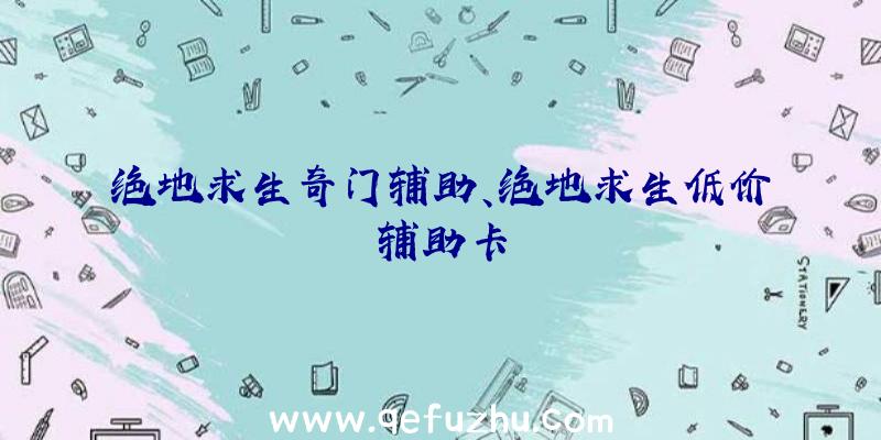 绝地求生奇门辅助、绝地求生低价辅助卡