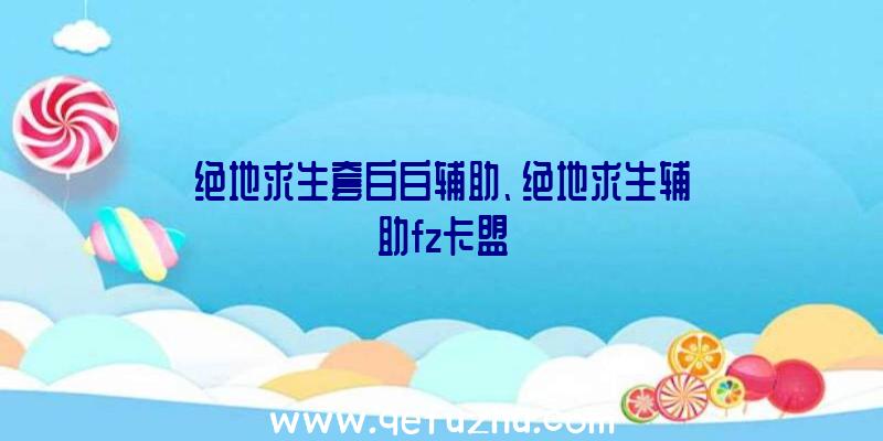 绝地求生套白白辅助、绝地求生辅助fz卡盟