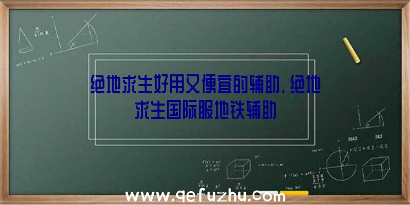 绝地求生好用又便宜的辅助、绝地求生国际服地铁辅助