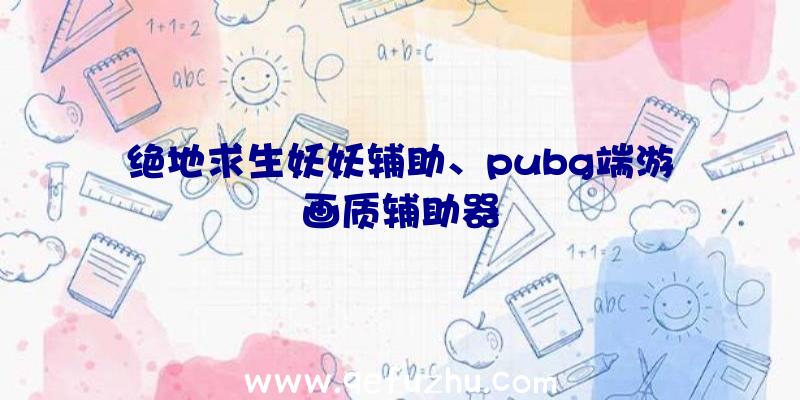 绝地求生妖妖辅助、pubg端游画质辅助器