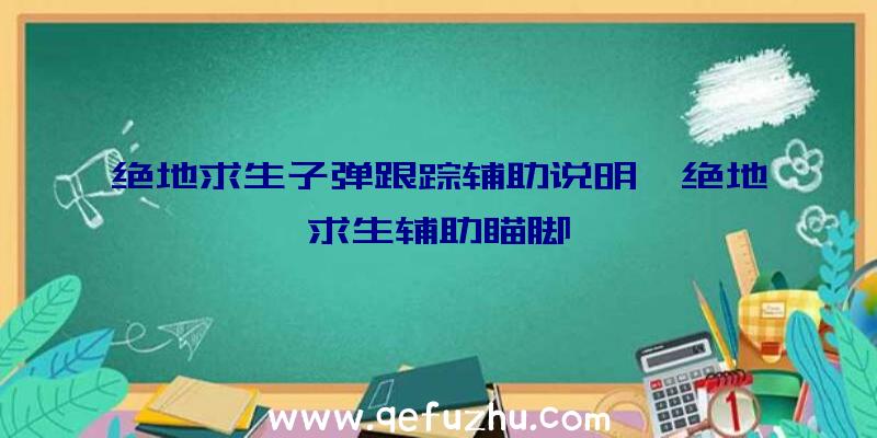 绝地求生子弹跟踪辅助说明、绝地求生辅助瞄脚