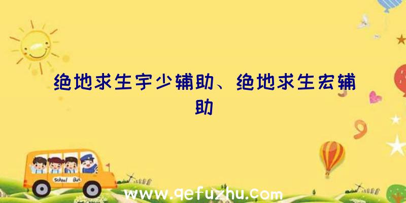 绝地求生宇少辅助、绝地求生宏辅助