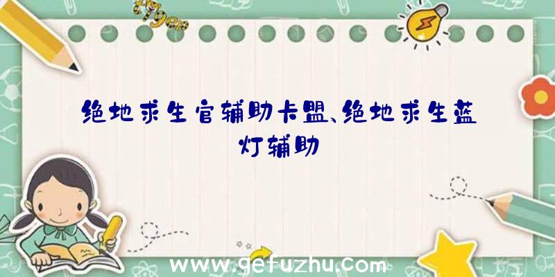 绝地求生官辅助卡盟、绝地求生蓝灯辅助