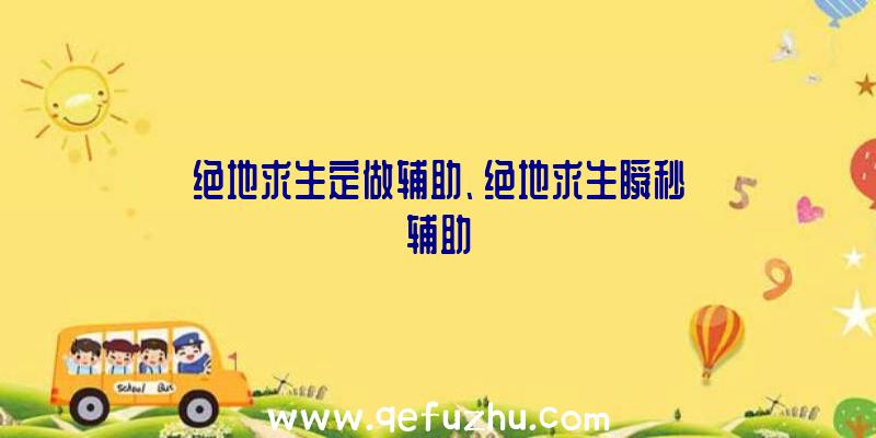 绝地求生定做辅助、绝地求生瞬秒辅助