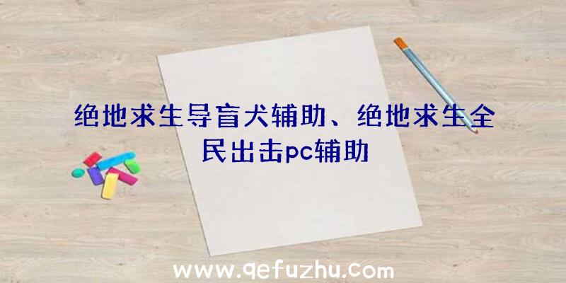 绝地求生导盲犬辅助、绝地求生全民出击pc辅助