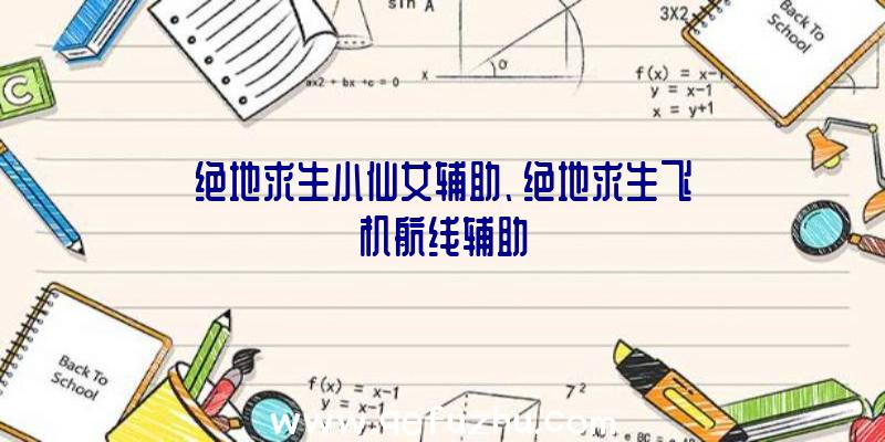 绝地求生小仙女辅助、绝地求生飞机航线辅助