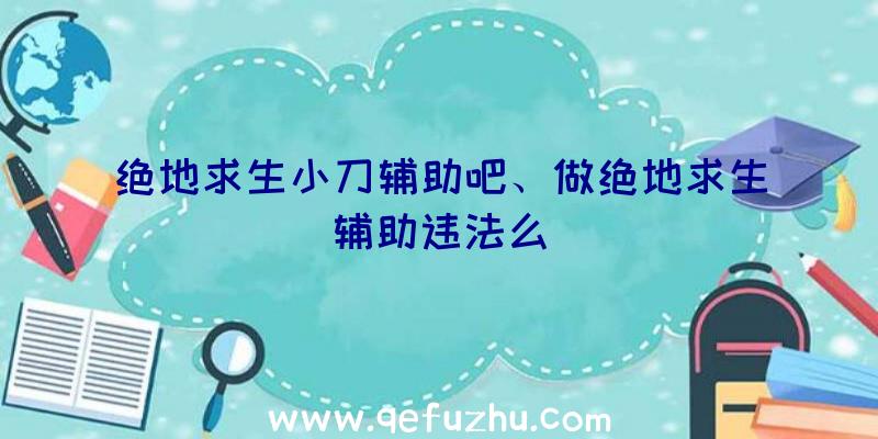 绝地求生小刀辅助吧、做绝地求生辅助违法么